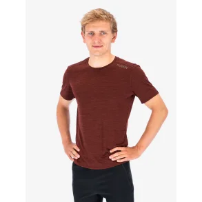 Fusion Brun Herre Model