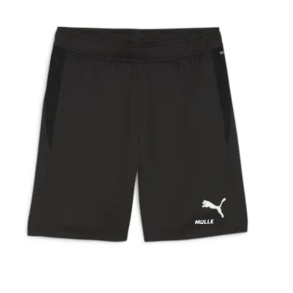 Shorts Sort (Herremodel)